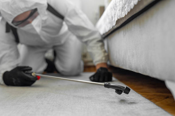 Professional Bed Bug Control technician working in Mitchell County County, IA